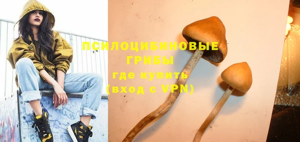 a pvp Богданович