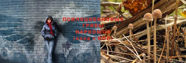a pvp Богданович