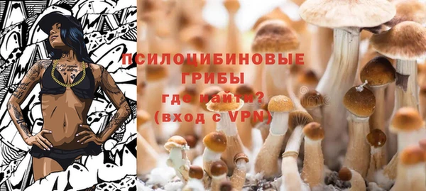 a pvp Богданович