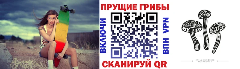 где найти наркотики  Котовск  MEGA tor  Галлюциногенные грибы мицелий 